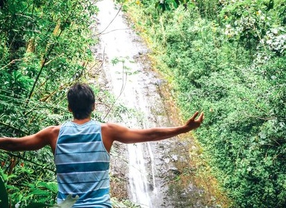 Зеленая симфония на вашей тарелке: Растительные диеты – откройте мир вкуса, здоровья и спасения планеты