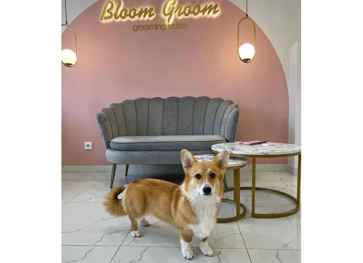 Фотоотзыв на мягкие кроватки!