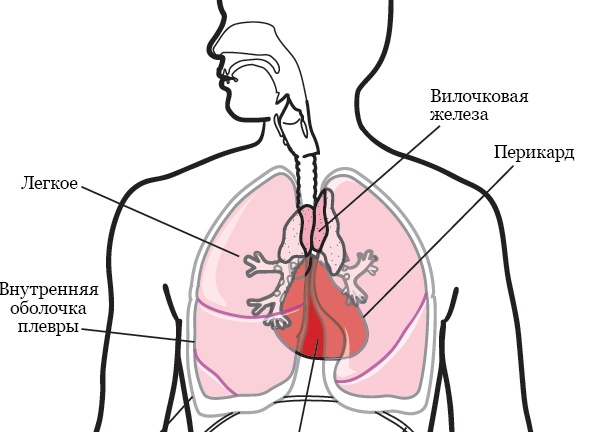 Расширяем тему, добавим про текстиль, декор и уют в деталях.