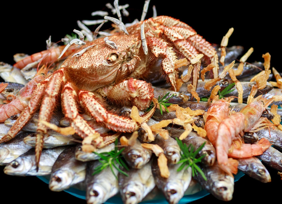 Кето-Диета: Раскройте Секрет Стройности и Энергии