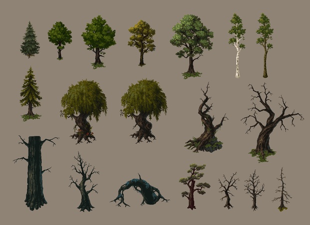 Магия запаха дерева: почему он нас пленяет?