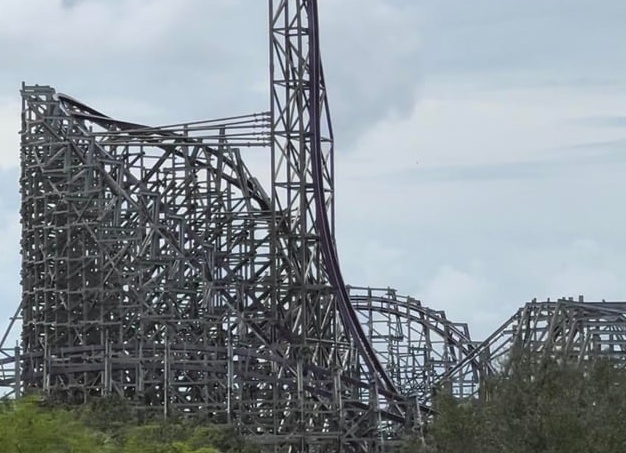 Топ-3 комнатных цветка, которые точно у вас выживут