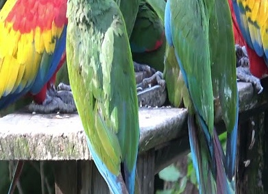 Ставь 💛, чтобы поддержать тех, кто планирует уложиться в бюджет